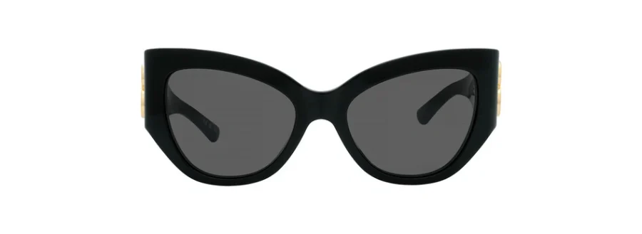 Balenciaga Grey Cat Eye Ladies Sunglasses BB0322S 002 55 889652471273