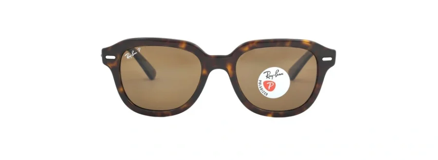 Ray-Ban Erik Polarized Brown Square Unisex