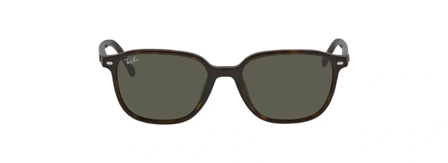 Ray-Ban Leonard Green Classic G-15 Square Unisex